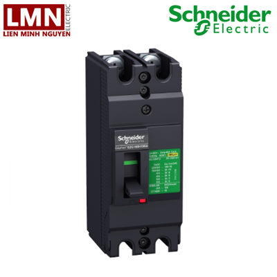 EZC100H2060-schneider-easypact-mccb-2p-60a-50ka