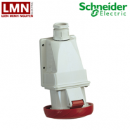 PKF32W735-schneider-o-cam-gan-noi-5p-32a-ip67-pk-series