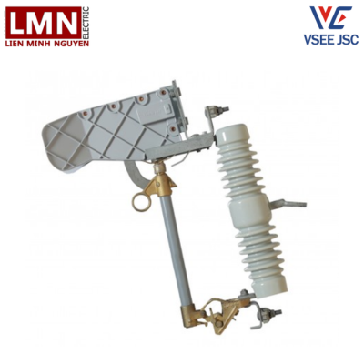 VSE-LBPFCO27200-cau-chi-tu-roi-cat-co-tai-vinasino